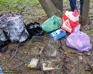 10557322 730734686976225 2108910411316382221 n