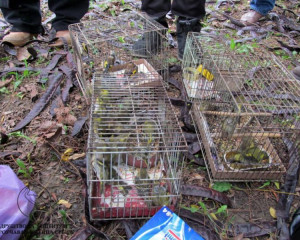 10734193 730734773642883 7964246649681257709 n