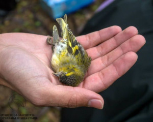 154498 730734983642862 1018972291675615811 n