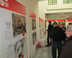 iucn crvena lista 01