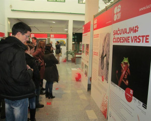 iucn crvena lista 08