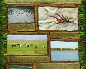 03 Panonska slana jezera  slatine i mocvare