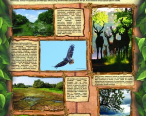 05 Poplavna podrucja