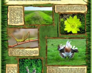 07 Stepska stanaista