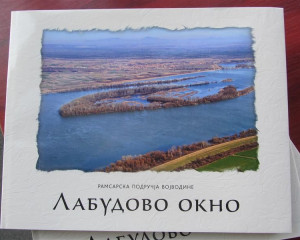 Foto monog. Labudovo okno   Pancevo 20.2.2015  14  800x600