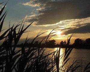 RITSKI PREDEO O. Fojkar