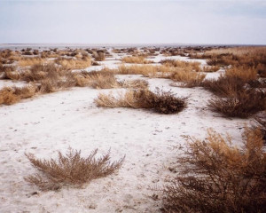 Slano kopovo  O.Fojkar