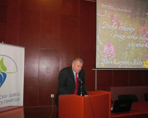 izlozba Divlje orhideje 6.2.2015  10 