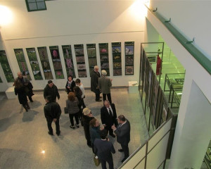 izlozba Divlje orhideje 6.2.2015  15 