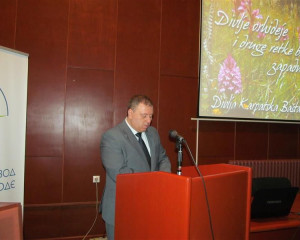 izlozba Divlje orhideje 6.2.2015  7 