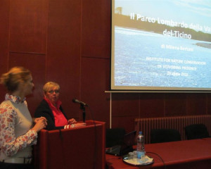 promocija Beljanska bara  8 