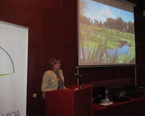 promocija Beljanska bara  9 