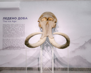 60 godina