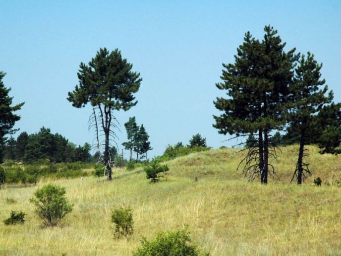 Rezervati prirode (specijalni i strogi)