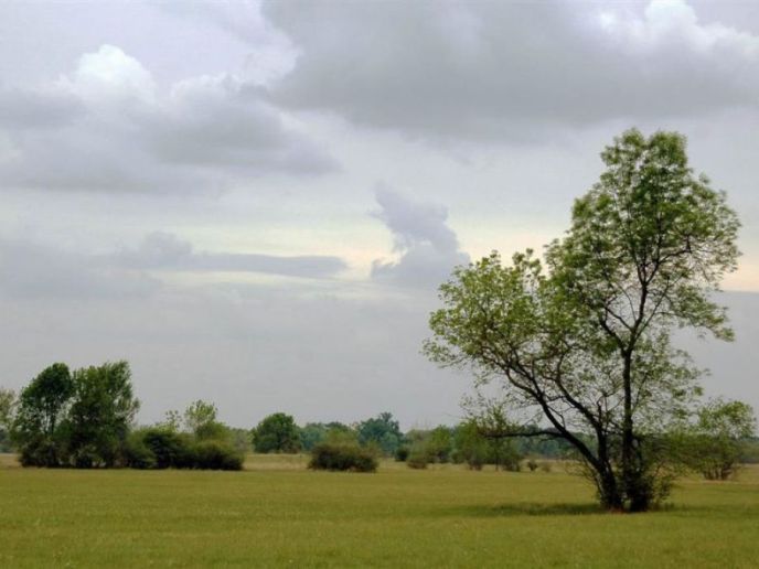 Predeli izuzetnih odlika