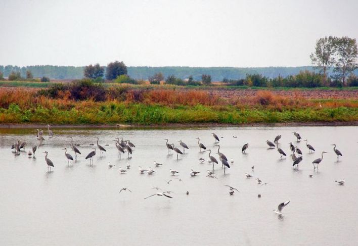 Akta o zaštiti prirodnih dobara