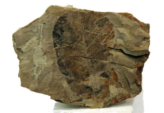 Zaštita geonasleđa