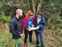 U susret jeseni uklanjamo invazivne biljne vrste