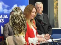 "SOKOLOM ZA SOKOLA”: POKRENUTA KAMPANJA ZA ZAŠTITU STEPSKOG SOKOLA