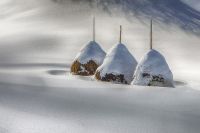 Proglašeni pobednici foto-konkursa Viki voli Zemlju 2024. u Srbiji