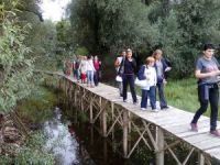 "Za čistije i zelenije škole u Vojvodini"