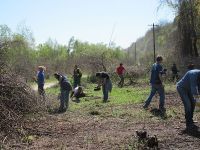 RADNI DAN ZA PRIRODU – uklanjanje invazivnih vrsta u Starom Slankamenu