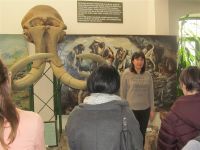 SARADNJA SA ČLANOVIMA DNEVNOG BORAVKA-RADNOG CENTRA ŠOSO „MILAN PETROVIĆ“