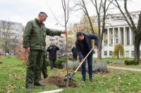 POČELA ZELENA NEDELJA U AP VOJVODINI, BIĆE ZASAĐENO 10.000 SADNICA TOPOLE, BREZE, CRNOG BORA, HRASTA I KATALPA