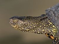 Sprovođenje zaštite prirode