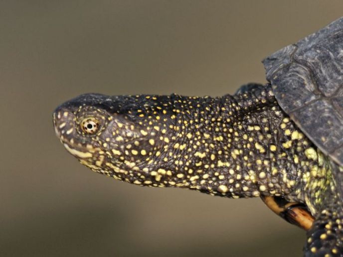 Sprovođenje zaštite prirode