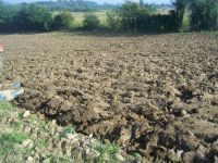 Problemi vezani za povraćaj i zamenu oduzetog zemlјišta u postupku restitucije u zaštićenim prirodnim dobrima u Srbiji