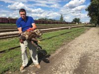 ORAO ZAUSTAVIO PUTNIČKI VOZ