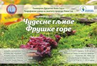 POZIV - ČUDESNE GLJIVE FRUŠКE GORE - PZZP 28.10.2019.