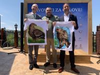 Započela kampanja za zaštitu orla krstaša u Srbiji