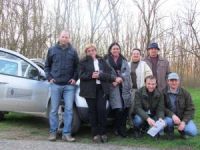 Monitoring kukurjaka (Eranthis hyemalis) strogo zaštićene vrste u Republici Srbiji