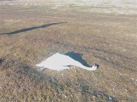 SAOPŠTENјE POKRAJINSKOG ZAVODA ZA ZAŠTITU PRIRODE U VEZI POJAVE PTIČJEG GRIPA