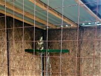 ODUZET PROTIVZAKONITO DRŽAN MIŠAR