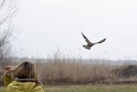 Mišar i mala ušara ponovo na slobodi
