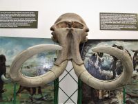 „DANI OTVORENIH VRATA“ NA PRIRODNJAČKOJ IZLOŽBI