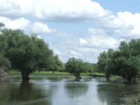 IZVEŠTAJ O IZVRŠENOM JAVNOM UVIDU I JAVNOJ RASPRAVI O PREDLOGU UREDBE O PROGLAŠENјU I STUDIJI ZAŠTITE PIO "ADE I ODSECI KOD SLANKAMENA"