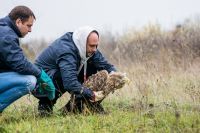 POZIV - ZBRINJAVANJE STROGO ZAŠTIĆENIH ŽIVOTINJA