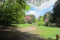 Akcija čišćenja Fruške gore povodom Dana planete Zemlje