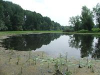 POZIV - EKONOMSKO VREDNOVANJE EKOSISTEMSKIH USLUGA SRP „KOVILJSKO-PETROVARADINSKI RIT“