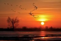 REZERVAT BIOSFERE „MURA-DRAVA-DUNAV“ U PET DRŽAVA UPISAN NA LISTU UNESKA