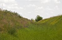 Radni dan za prirodu – Veliki rimski šanac