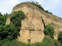 RADNI DAN – SPOMENIК PRIRODE „LESNI PROFIL КOD STAROG SLANКAMENA“