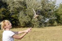 RETКE ZA VIDETI, VREDNE ZA SAČUVATI – SIVE VETRUŠКE