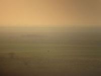 Početak šepurenja velike droplje