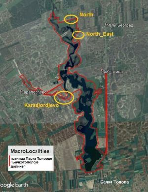 Izgradnja mernih mesta za monitoring stanice u okviru projekta SeNs WETLANDS u Parku prirode „Bačkotopolske doline“ (akumulacija Zobnatica)