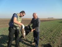 SPREČENO MASOVNO TROVANJE